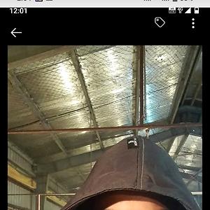 26-35