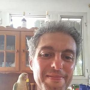 36-50