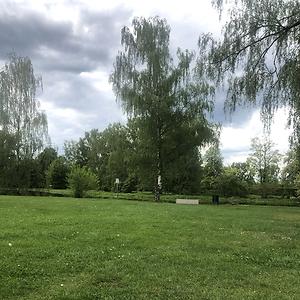 51+