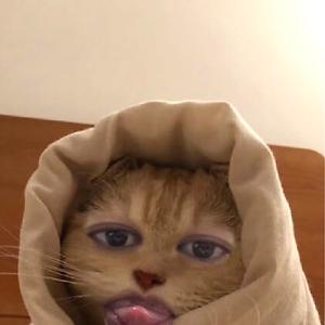 36-50