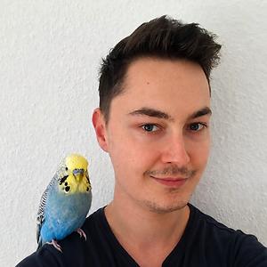 26-35