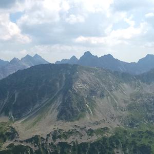 36-50