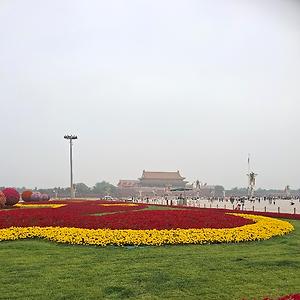 51+