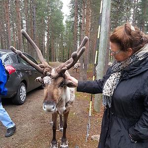 51+