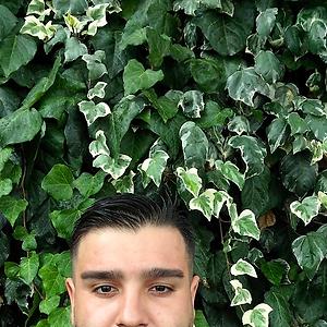 26-35