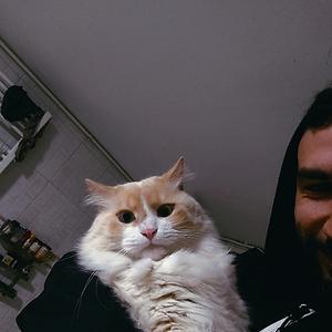 26-35