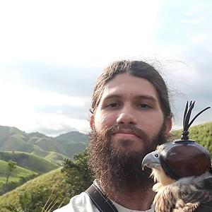 26-35