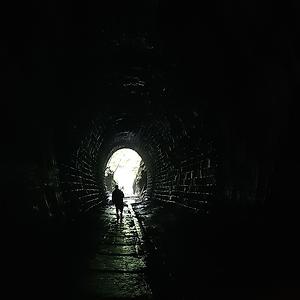 36-50