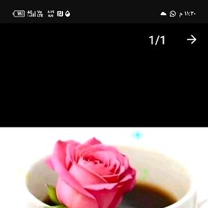 36-50