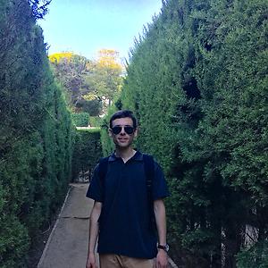 26-35