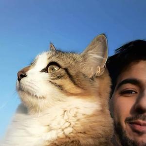 26-35