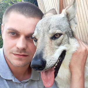 26-35