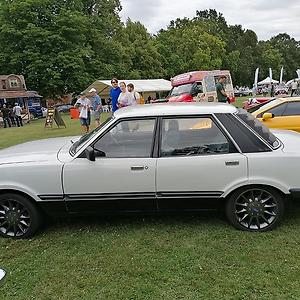 51+