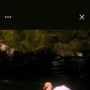 51+