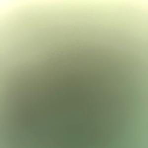 36-50