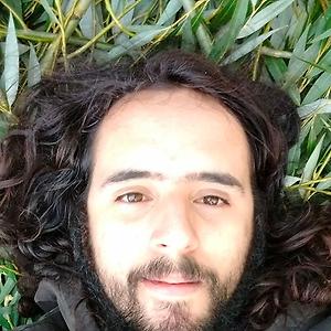 26-35