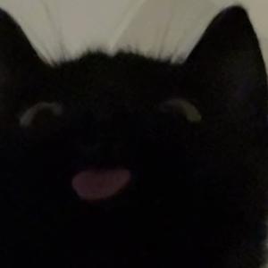 36-50