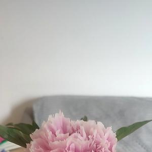 36-50