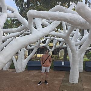 26-35
