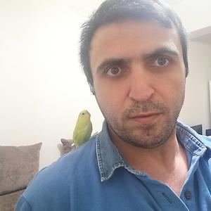 36-50
