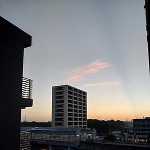 36-50