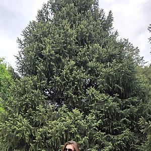 36-50