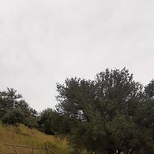 36-50
