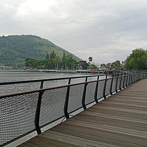 36-50