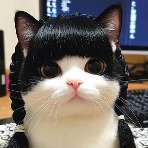 51+