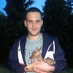 26-35