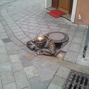 36-50