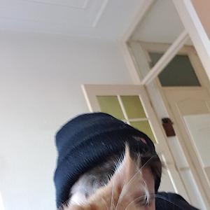 26-35