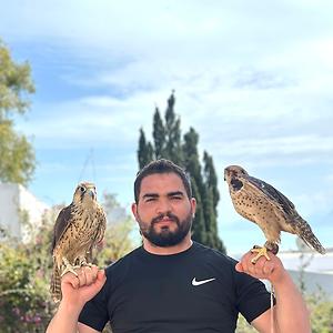 26-35