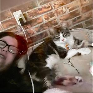 36-50