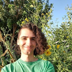 26-35