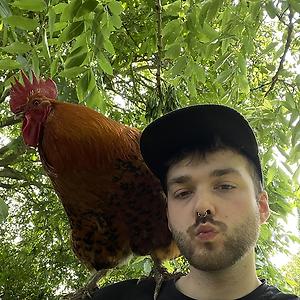 26-35
