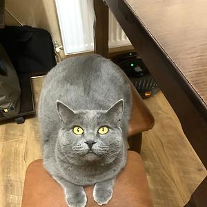 36-50