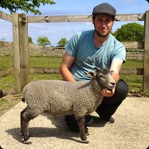 26-35