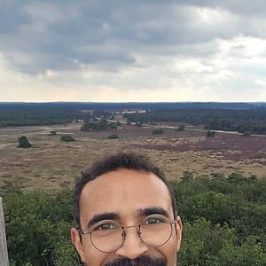 26-35