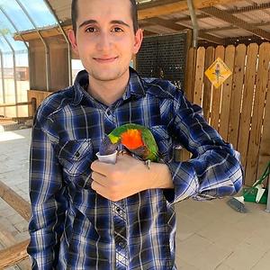26-35