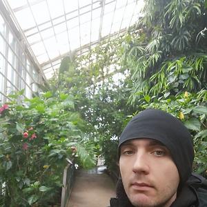 26-35