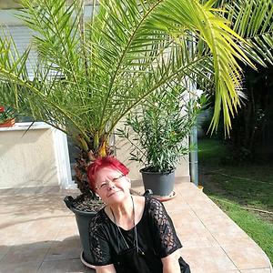 51+