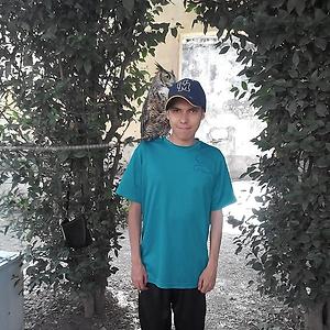 26-35