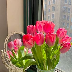 36-50