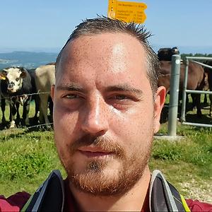 26-35