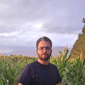 26-35