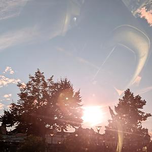 36-50
