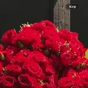 36-50