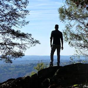 26-35