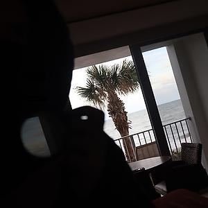 36-50